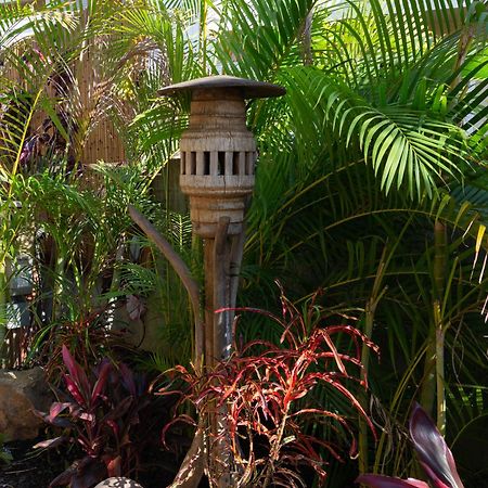 Orchid Suite, 1 Bedroom, Sleeps 4, Pool & Bbq, Pre-Renovation Summer Sale Kihei Exterior photo